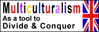 Multiculturalism Divide & Conquer