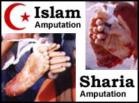 Sharia / Islam